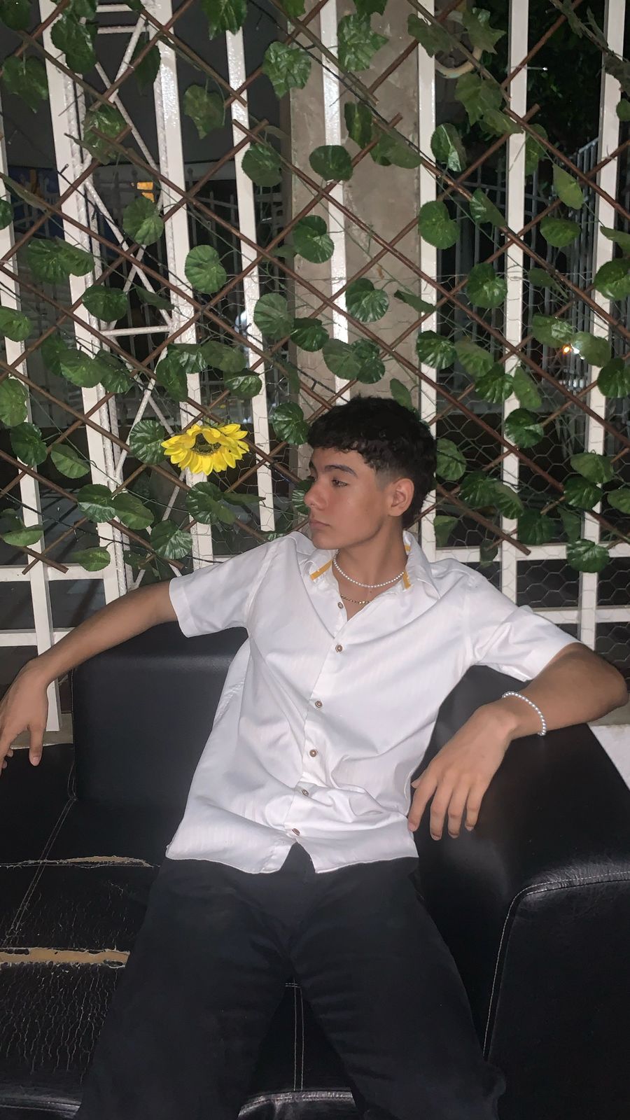 Wildeiner Meza